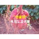 욕지도 호박고구마(모듬)10k